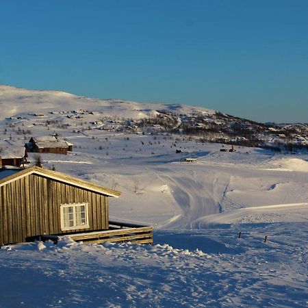 Kjøniksbu - 3 bedroom cabin Ål Eksteriør bilde