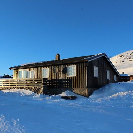 Kjøniksbu - 3 bedroom cabin Ål Eksteriør bilde