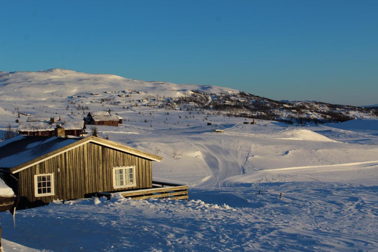 Kjøniksbu - 3 bedroom cabin Ål Eksteriør bilde