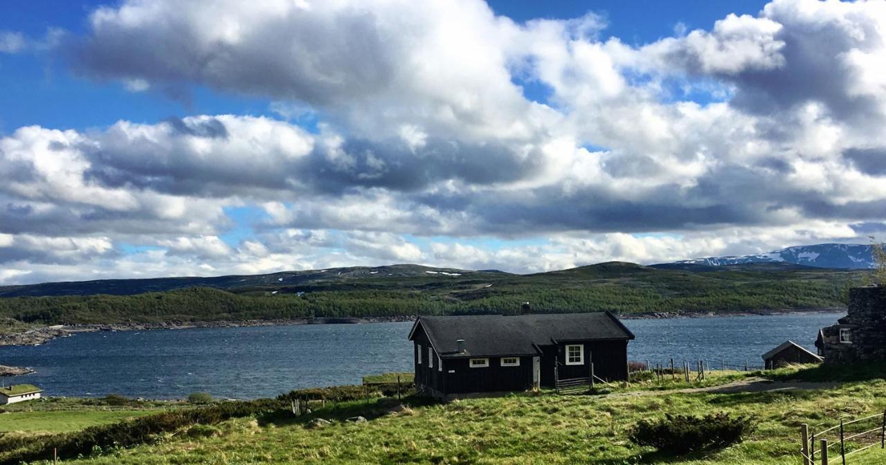 Kjøniksbu - 3 bedroom cabin Ål Eksteriør bilde