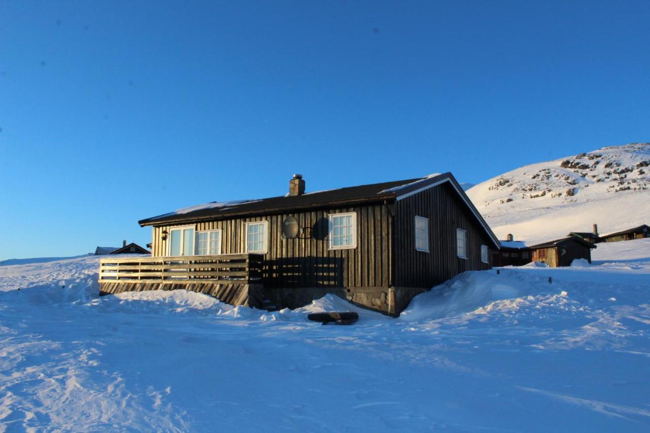 Kjøniksbu - 3 bedroom cabin Ål Eksteriør bilde