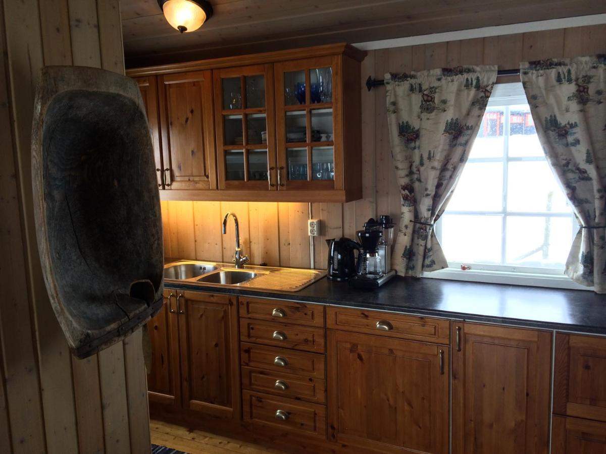 Kjøniksbu - 3 bedroom cabin Ål Eksteriør bilde
