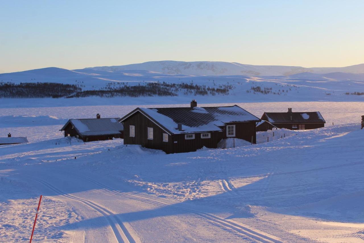 Kjøniksbu - 3 bedroom cabin Ål Eksteriør bilde